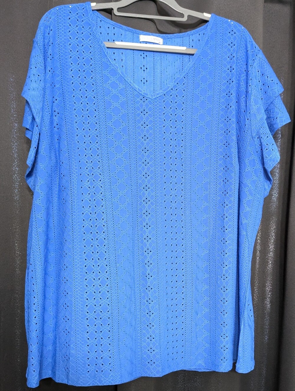 Women's Blue Eyelet V-Neck Top
